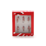 Spark Model 43AC023 GRID GIRLS 1990s 1:43